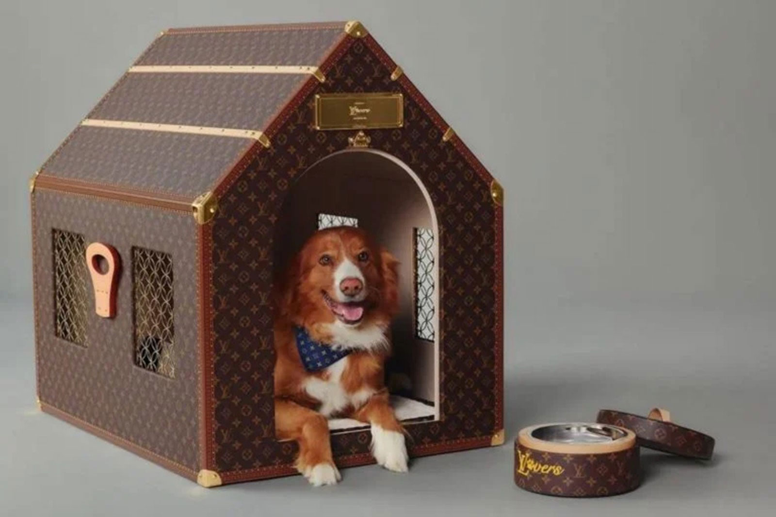 palestra-inovacao-no-mercado-pet